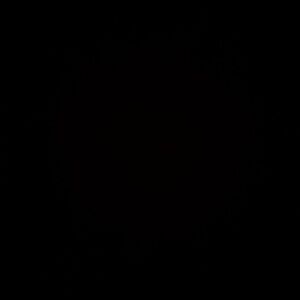 Meet your Posher, Greer